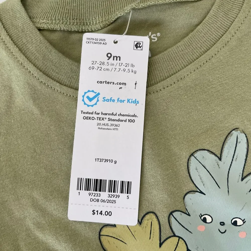 NWT Carters Falling for Auntie Bodysuit Aunt Green Size Boys Girls‎ 9 Months